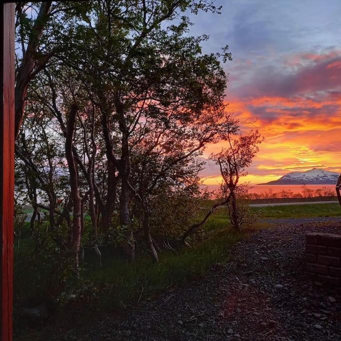 Þorsmoerk Farm 12 Min From Akureyri Apartment Svalbarthseyri Exterior photo